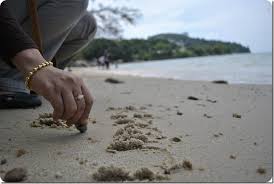 Belajarlah menuliskan rasa sakit Anda di pasir, dan pahat kebaikan di batu.